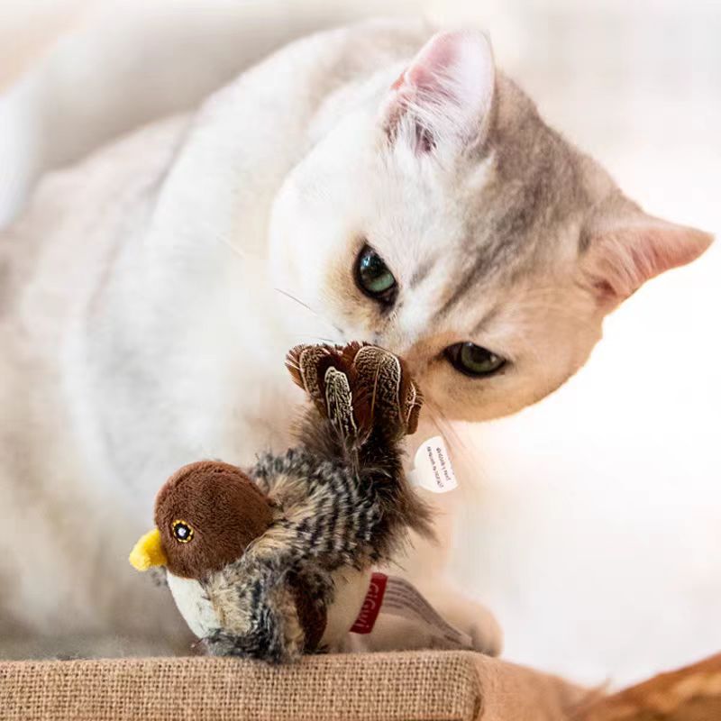 Pets Toy